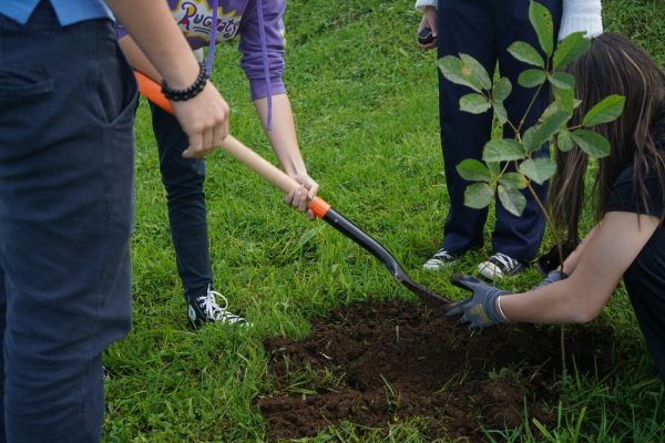 A group of girls in Costa Rica are planting a sapling