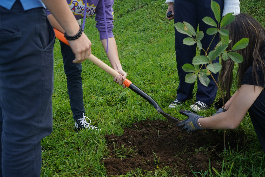 A group of children in Costa Rica are planting a sapling